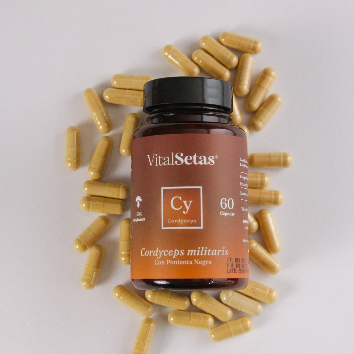 Complément Alimentaire Cordyceps 500mg - Champignon Chenille Chinois - Soutien Immunitaire - 60 Gélules