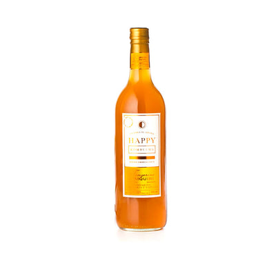 Kombucha Tangerine Daiquiri 750 ml – Happy Kombucha | Plazet