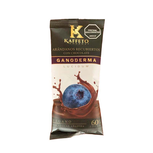 SNACK ARANDANOS CON CHOCOLATE Y GANODERMA X 25 GR