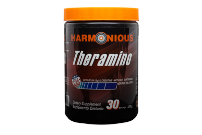 Theraamino 384 g | Plazet