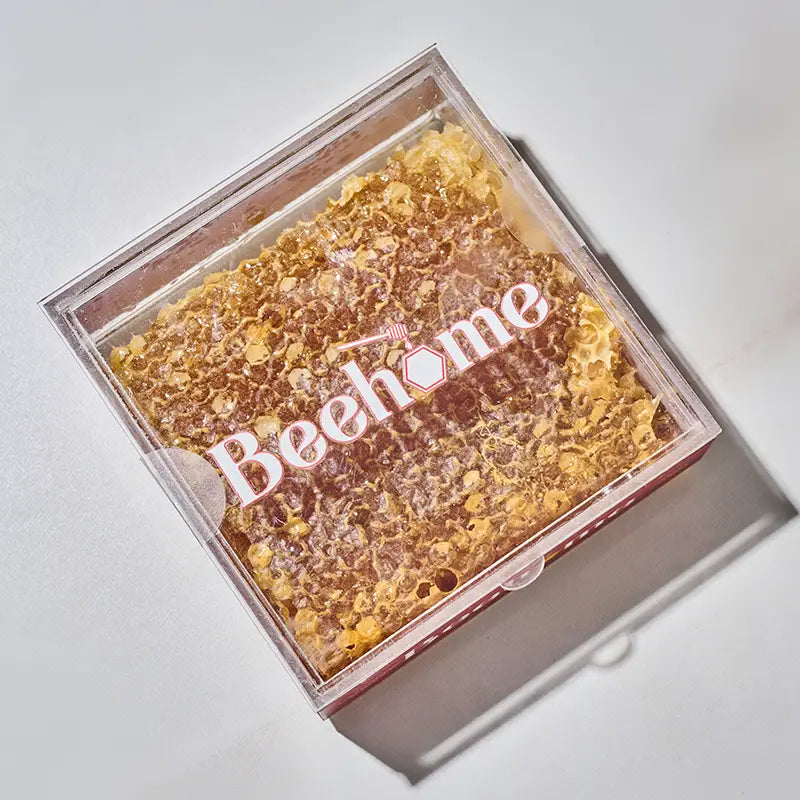 Panal Bite 350 g – Beehome