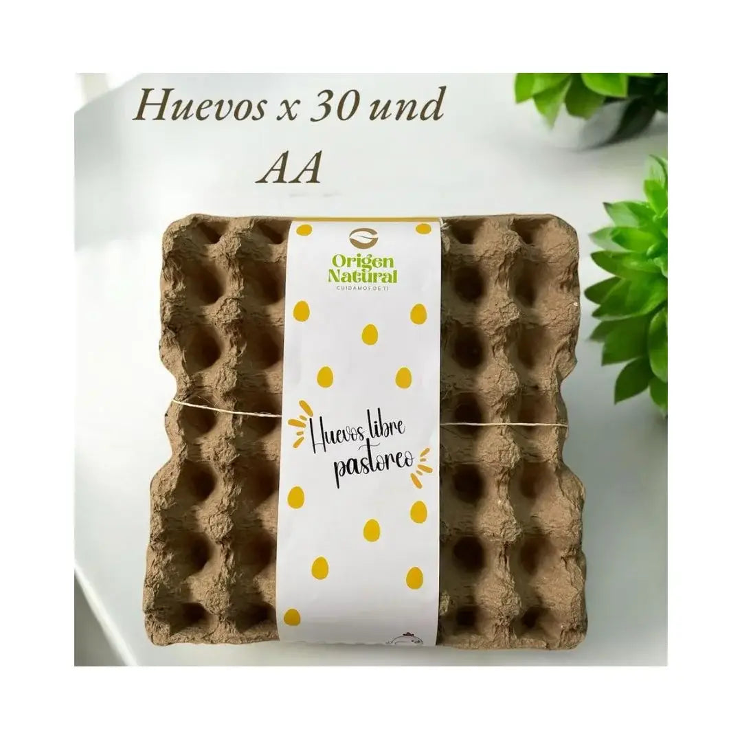 Huevos AA x 30 und – Origen Natural