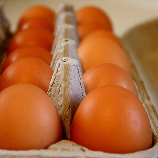 Huevos AA x 12 und – Origen Natural