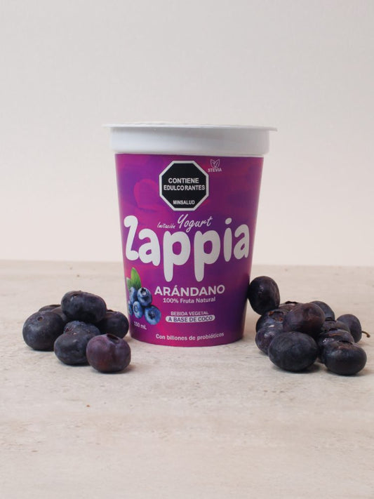 Yogurt de Arándanos 150 ml – Zappia | Plazet